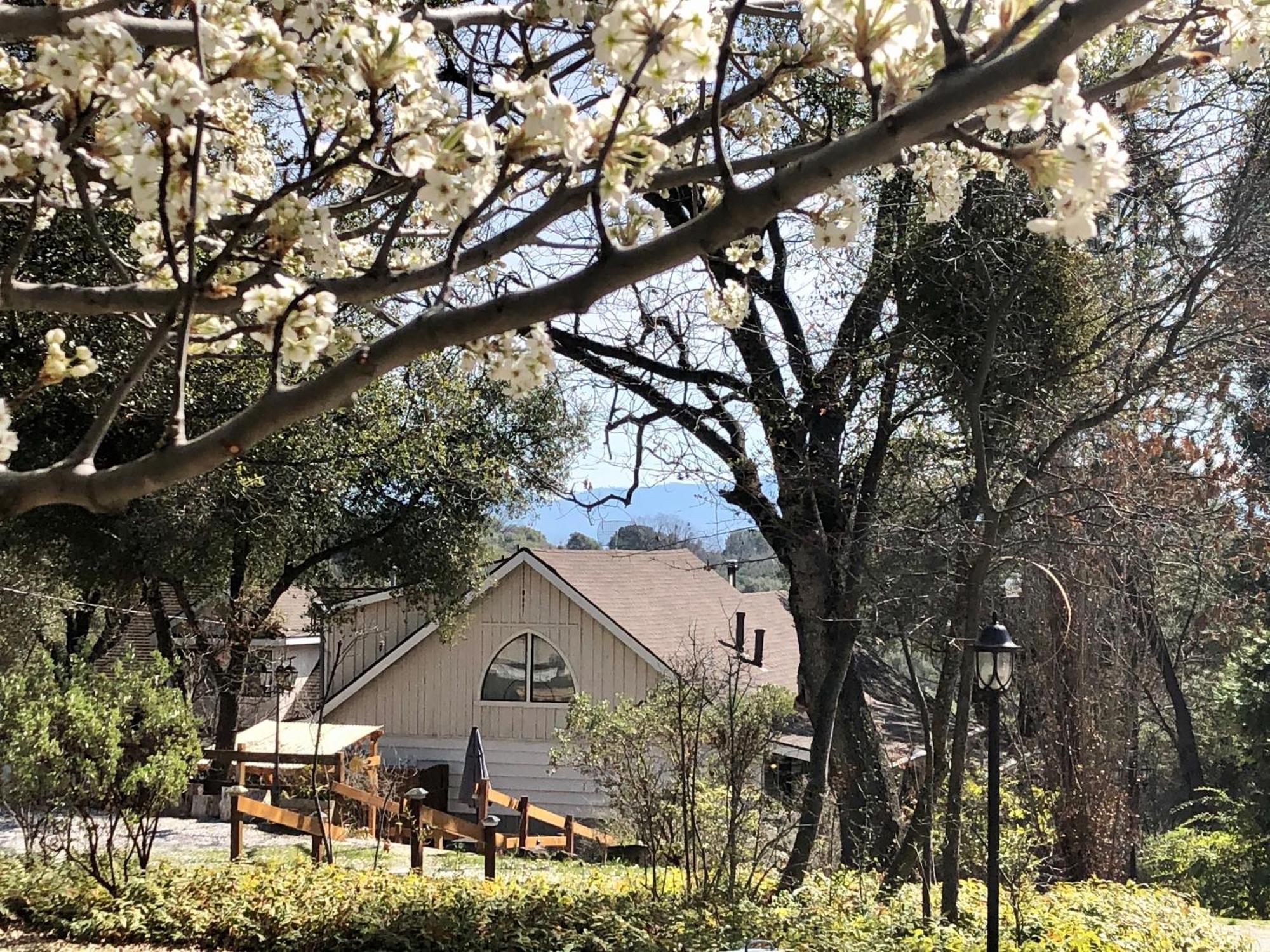 Sierra Mountain Lodge - Vacation Rentals - Yosemite Авані Екстер'єр фото